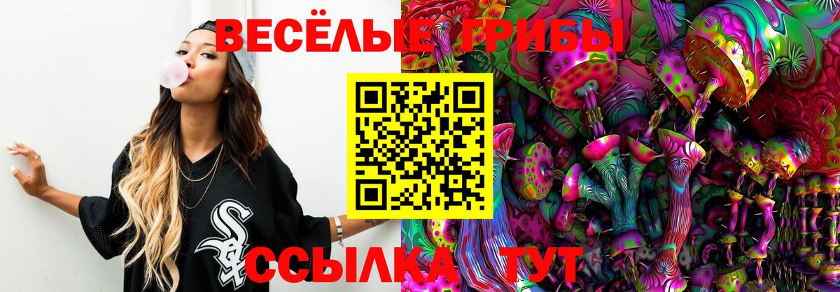 Галлюциногенные грибы Magic Shrooms  Вход с VPN  закладка  Псилоцибиновые грибы Psilocybe  Корсаков 